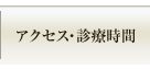 �A�N�Z�X�E�f�Î���